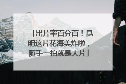 出片率百分百！昆明这片花海美炸啦，随手一拍就是大片