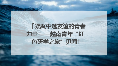 凝聚中越友谊的青春力量——越南青年“红色研学之旅”见闻