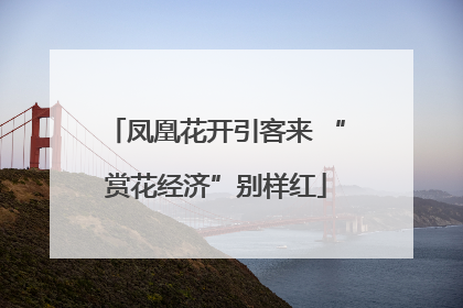 凤凰花开引客来 “赏花经济”别样红
