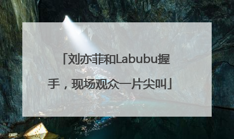 刘亦菲和Labubu握手，现场观众一片尖叫