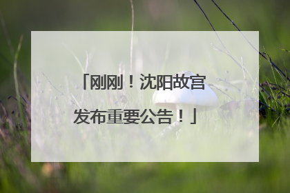 刚刚！沈阳故宫发布重要公告！