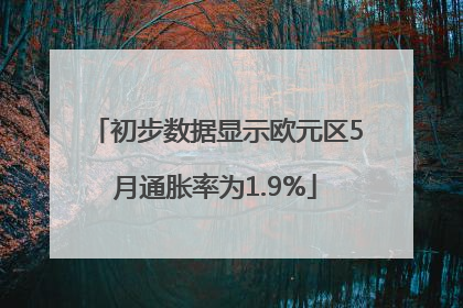 初步数据显示欧元区5月通胀率为1.9%