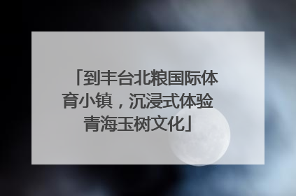 到丰台北粮国际体育小镇，沉浸式体验青海玉树文化