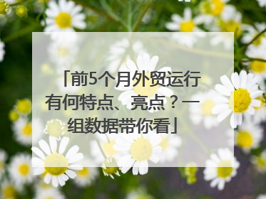前5个月外贸运行有何特点、亮点？一组数据带你看