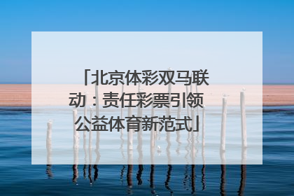 北京体彩双马联动：责任彩票引领公益体育新范式