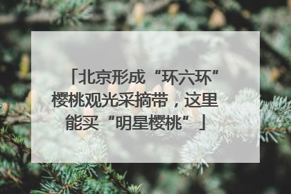 北京形成“环六环”樱桃观光采摘带，这里能买“明星樱桃”
