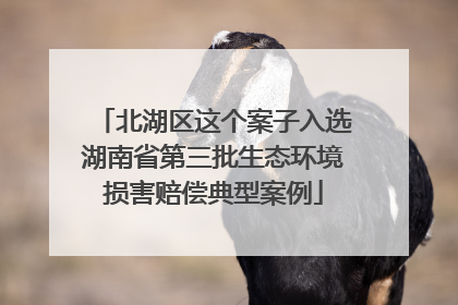 北湖区这个案子入选湖南省第三批生态环境损害赔偿典型案例