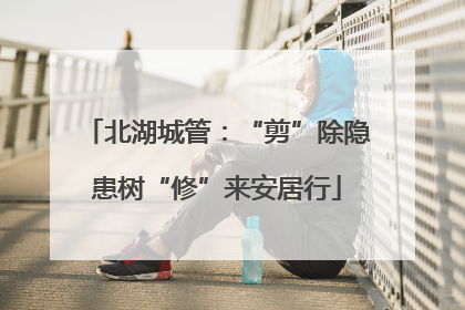 北湖城管：“剪”除隐患树“修”来安居行