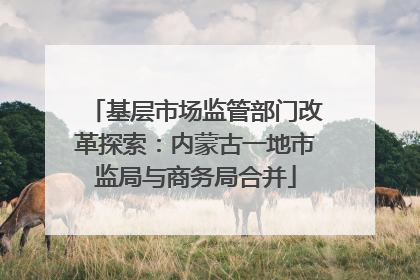 基层市场监管部门改革探索：内蒙古一地市监局与商务局合并