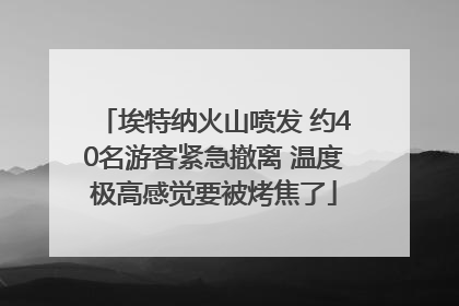 埃特纳火山喷发 约40名游客紧急撤离 温度极高感觉要被烤焦了