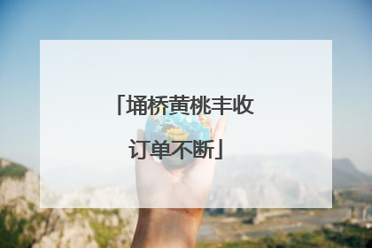 埇桥黄桃丰收 订单不断