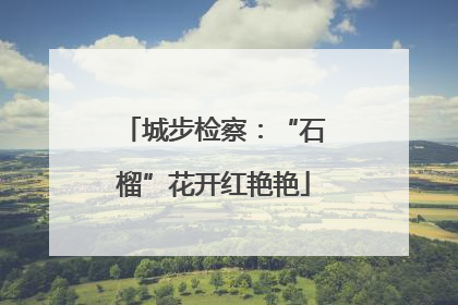 城步检察：“石榴”花开红艳艳