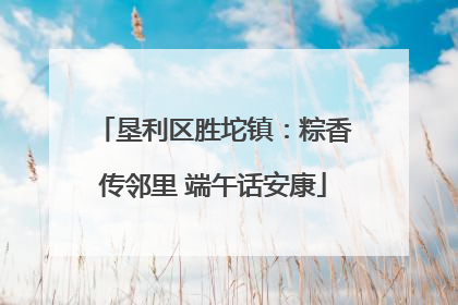 垦利区胜坨镇：粽香传邻里 端午话安康