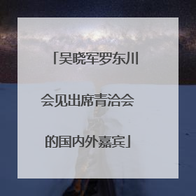 吴晓军罗东川会见出席青洽会的国内外嘉宾