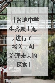 各地中学生齐聚上海，进行了一场关于AI治理未来的探索