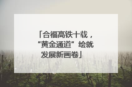 合福高铁十载，“黄金通道”绘就发展新画卷