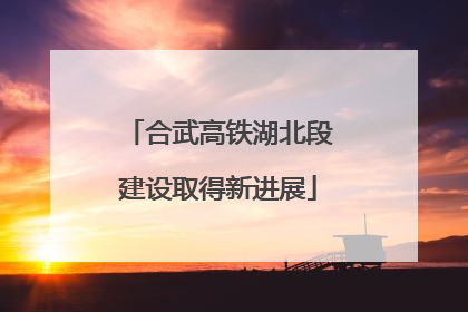 合武高铁湖北段建设取得新进展