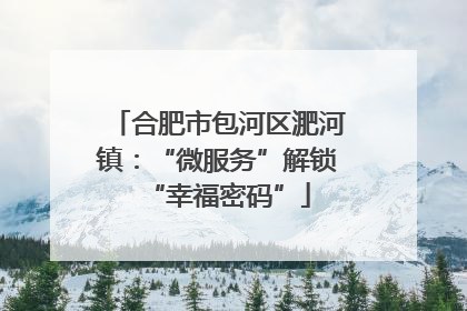 合肥市包河区淝河镇：“微服务”解锁“幸福密码”
