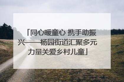 同心暖童心 携手助振兴——杨园街道汇聚多元力量关爱乡村儿童