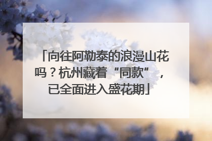 向往阿勒泰的浪漫山花吗？杭州藏着“同款”，已全面进入盛花期
