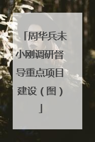 周华兵未小刚调研督导重点项目建设（图）