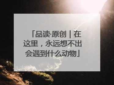 品读·原创｜在这里，永远想不出会遇到什么动物