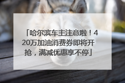 哈尔滨车主注意啦！420万加油消费券即将开抢，满减优惠享不停