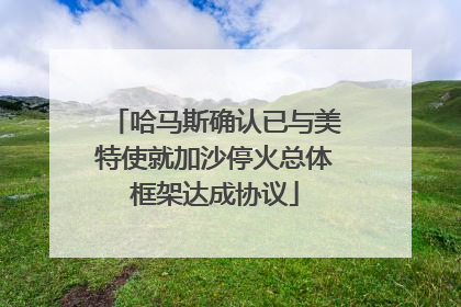 哈马斯确认已与美特使就加沙停火总体框架达成协议