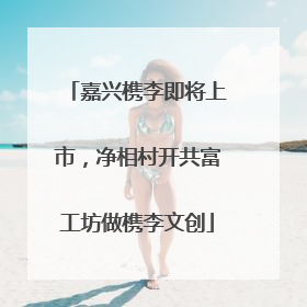 嘉兴槜李即将上市，净相村开共富工坊做槜李文创