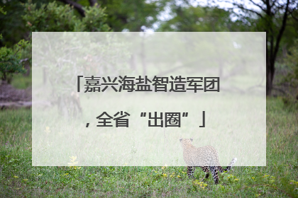 嘉兴海盐智造军团，全省“出圈”