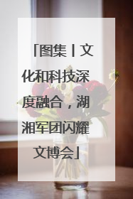 图集丨文化和科技深度融合，湖湘军团闪耀文博会
