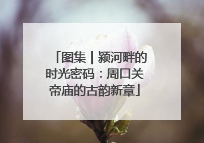 图集｜颍河畔的时光密码：周口关帝庙的古韵新章