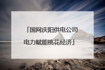 国网庆阳供电公司电力赋能桃花经济