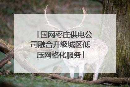 国网枣庄供电公司融合升级城区低压网格化服务
