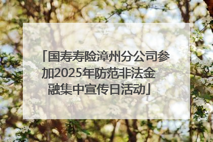 国寿寿险漳州分公司参加2025年防范非法金融集中宣传日活动