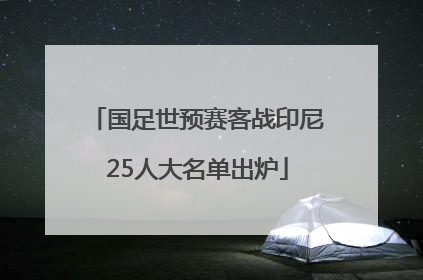 国足世预赛客战印尼25人大名单出炉