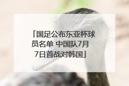 国足公布东亚杯球员名单 中国队7月7日首战对韩国