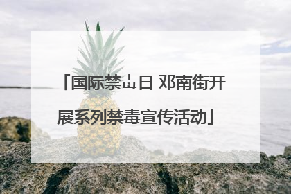 国际禁毒日 邓南街开展系列禁毒宣传活动