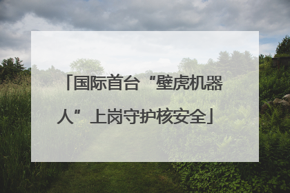 国际首台“壁虎机器人”上岗守护核安全