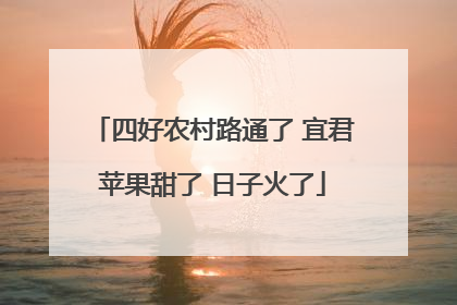 四好农村路通了 宜君苹果甜了 日子火了