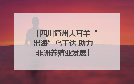 四川简州大耳羊“出海”乌干达 助力非洲养殖业发展
