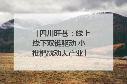 四川旺苍：线上线下双链驱动 小枇杷撬动大产业
