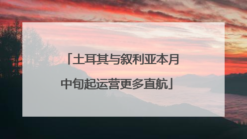 土耳其与叙利亚本月中旬起运营更多直航