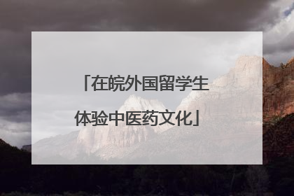 在皖外国留学生体验中医药文化