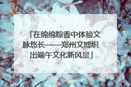 在绵绵粽香中体验文脉悠长——郑州文博织出端午文化新风景