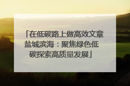 在低碳路上做高效文章 盐城滨海：聚焦绿色低碳探索高质量发展