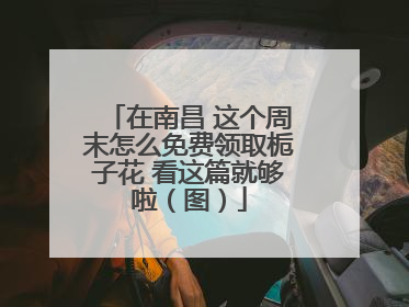 在南昌 这个周末怎么免费领取栀子花 看这篇就够啦（图）