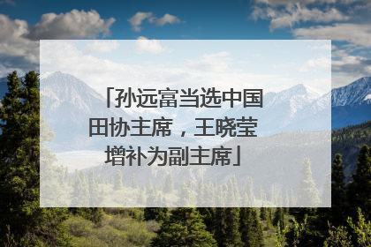 孙远富当选中国田协主席，王晓莹增补为副主席