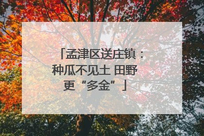 孟津区送庄镇:种瓜不见土 田野更“多金”