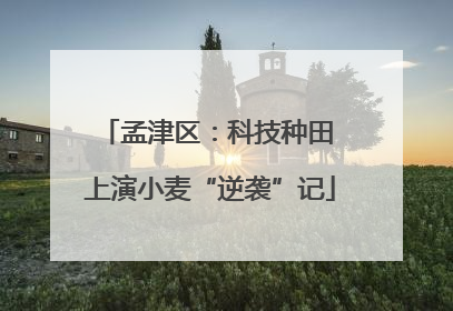 孟津区：科技种田 上演小麦“逆袭”记
